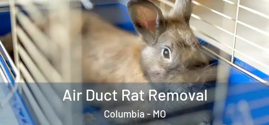 Air Duct Rat Removal Columbia - MO