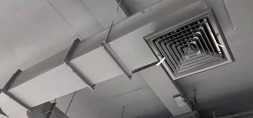 Restorative Allergy Relief Vent Cleaning – Coil, Blower & Housing Detail in Columbia