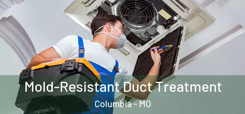  Mold-Resistant Duct Treatment Columbia - MO