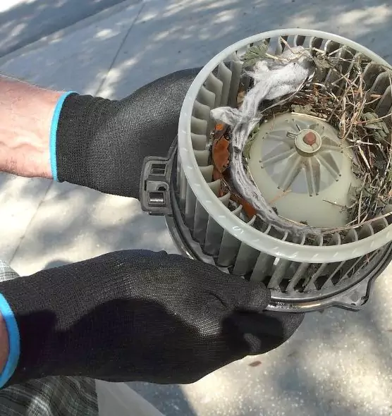 About Air Duct Mice Removal in Columbia, MO