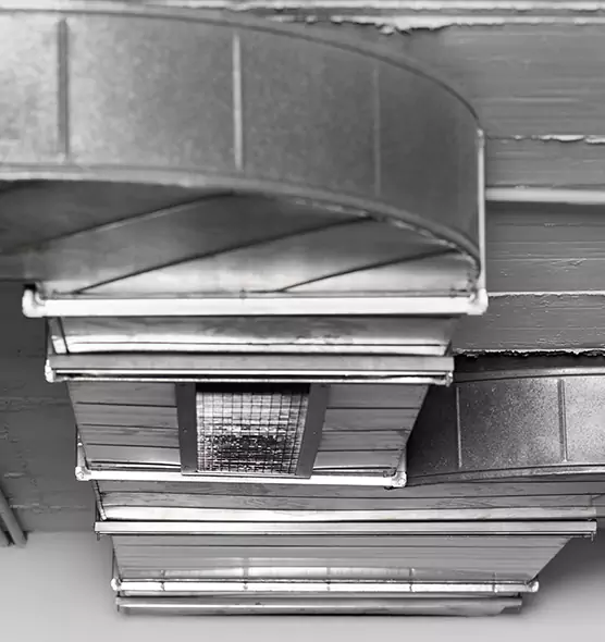 Professional Air Duct Pest Removal in Columbia, MO