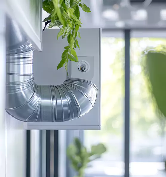 Professional Eco-Safe Dryer Vent Cleaning in Columbia, MO