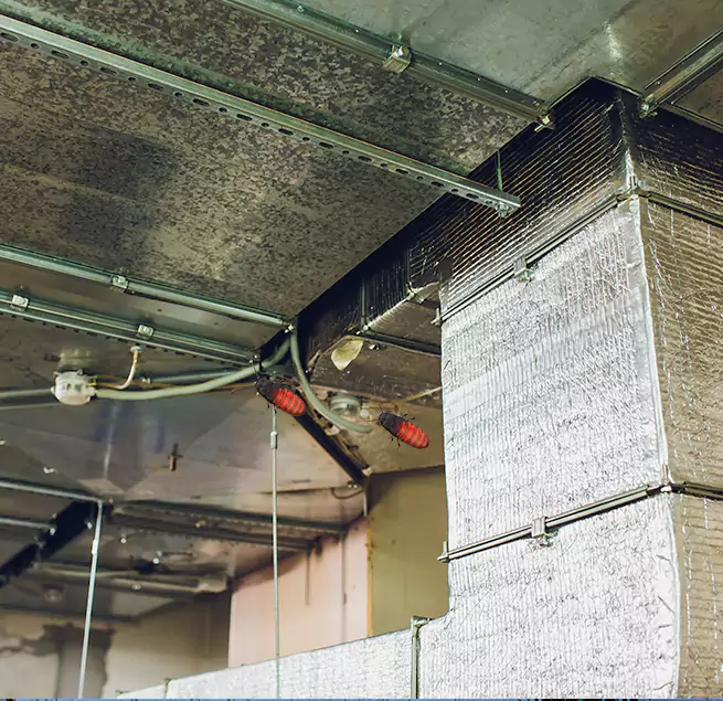 Why Homeowners & Businesses Trust Us in Columbia, MO?